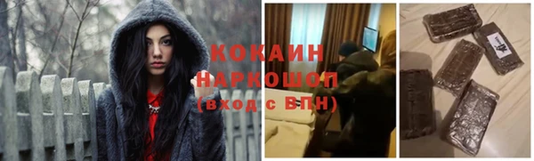 кокс Богородицк