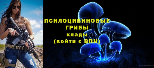 меф Богородск
