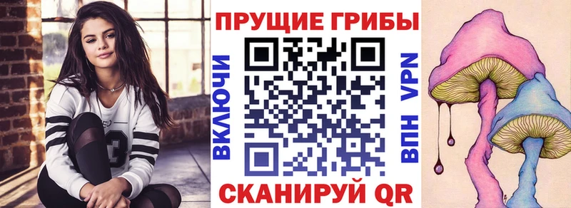 Псилоцибиновые грибы Cubensis  kraken ONION  Калининец 
